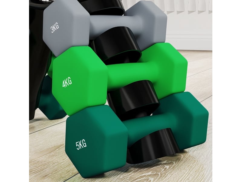  Set de 6 haltères 42x10x30 cm hexagonaux métal multicolore  - Conforama B