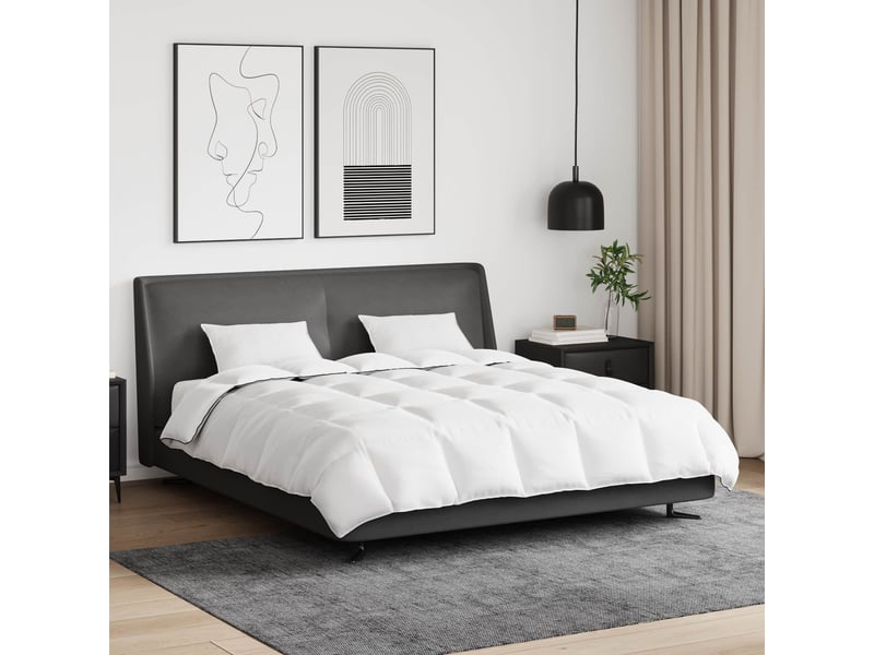 Duvet d'hiver avec oreiller 3 pièces - couette blanc plume de canard - Conforama B