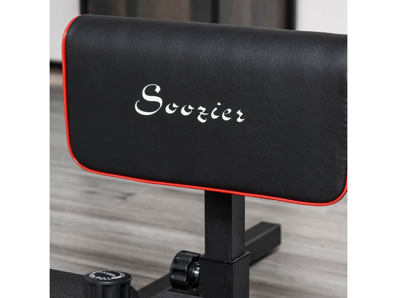Appareil de squat sissy 3 en 1 noir en acier réglable, pour abdominaux, jambes et bras à domicile - Conforama D