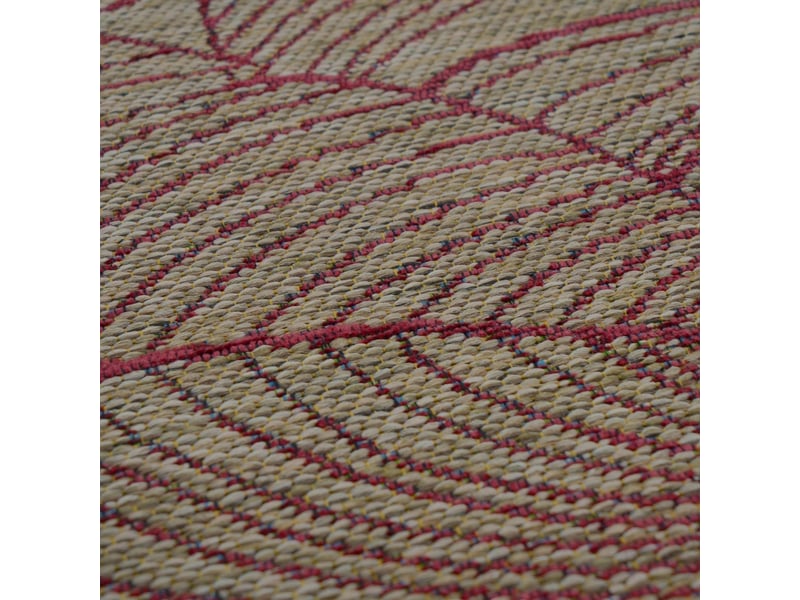  Tapis extérieur intérieur beige bordeaux motif feuillage 160x230  - Conforama E