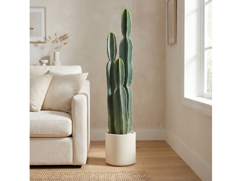  Plante artificielle cactus 25x25x111 cm en pot vert  - Conforama C