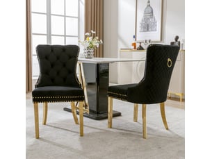 Lot de 2 chaises de salle à manger en velours noir et doré