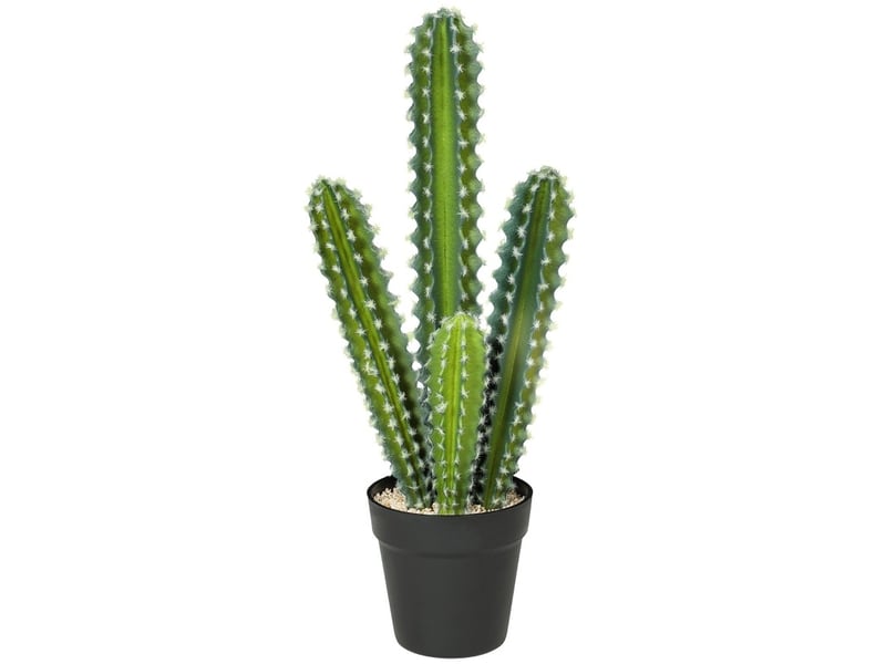  Plante artificielle cactus vert 53 cm en plastique avec pot décoratif, idéale pour la maison ou le bureau  - Conforama A