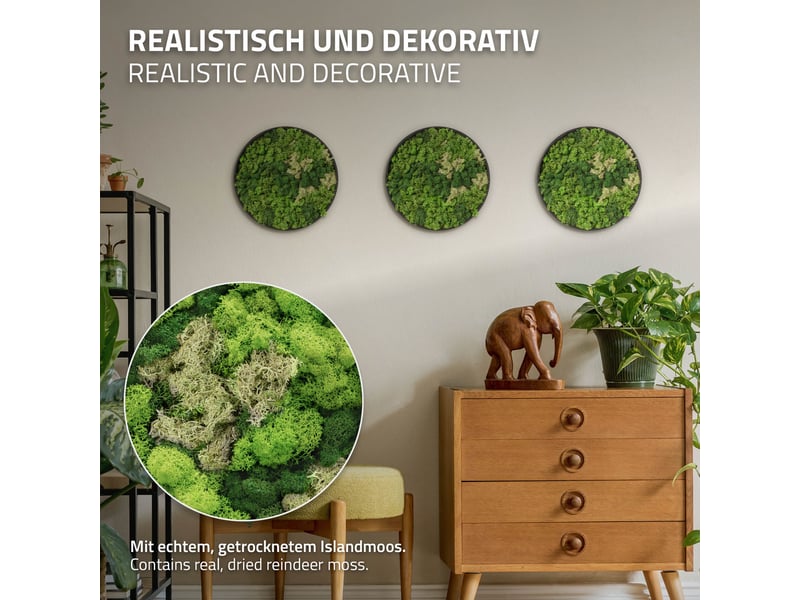 Ecd germany tableau en mousse de renne stabilisée véritable, forme ronde ø 30 cm, vert, décoration murale végétale d'intérieur, cadre en mdf, sans arrosage ni entretien, effet 3d, pièce unique ECD Germany GmbH - Conforama C