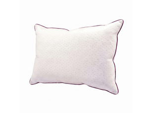 Oreiller blanc 100% plume de canard - 30 x 50 cm - housse bonne fête - collection blanc