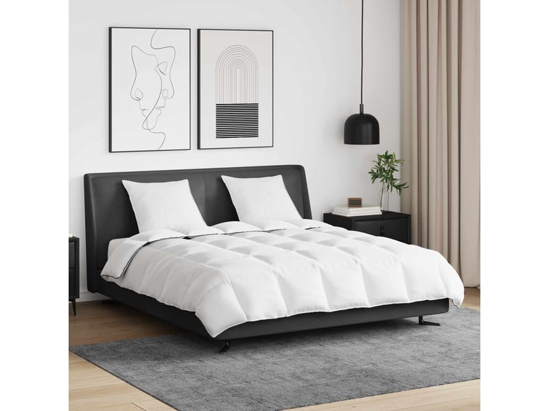  Duvet d'hiver avec oreiller 3 pièces - couette blanc plume de canard  - Conforama B