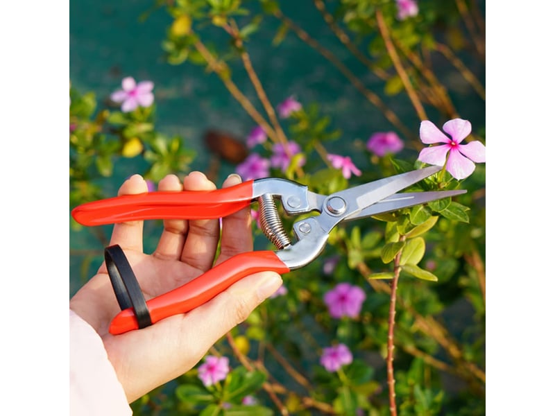  Sécateur, ciseaux tout usage, sécateur outil de coupe, adapté à la taille des branches dans le jardin et à la taille des fleurs(rouge)  - Conforama E
