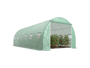Serre tunnel avec 12 fenêtres et une porte, serre potagère pour la culture de plantes, légumes et fleurs (verte)