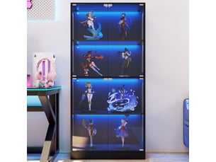 Vitrine coloris noir  PEXCHO  - 80 cmx170 cm