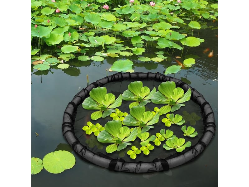 Île flottante de protection pour plantes – panier rond avec filet fin, barrière anti-poissons pour bassin et étang-45cm - Conforama D