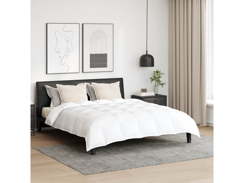  Ensemble de duvet avec oreiller 3 pièces - couette blanc plume de canard  - Conforama B