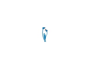 Casque filaire JBL 8042314 - Bleu