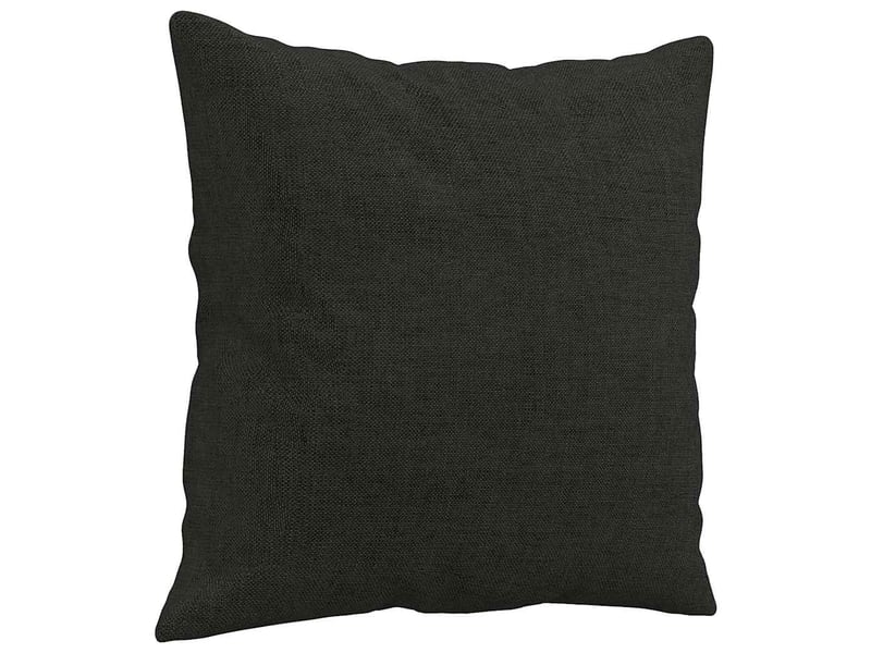  Lot de 2 coussins décoratifs noir 40x40 cm tissu cf60880  - Conforama C