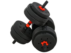 Set d'haltères réglables 2 en 1 25 kg 21x21x50 cm – noir – convertible en barre longue, entraînement maison