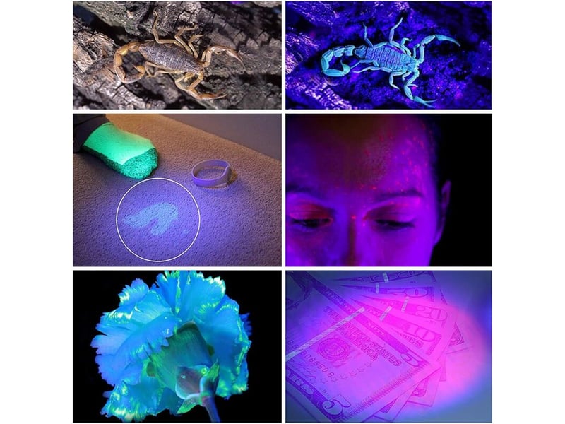  Lampe de poche uv lampe de torche 100 leds violet pour animal domestique d'urine détecteur de taches-noir  - Conforama C