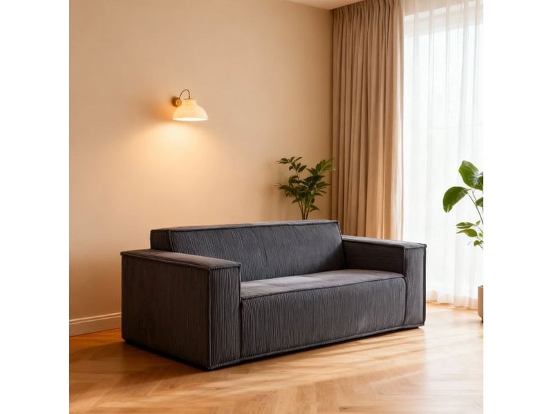 Canapé 2 places - velours côtelé - gris - siège profond - installation facile gris - Conforama D