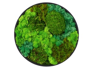 Ecd germany tableau végétal mural, mélange de mousses stabilisées, cadre en mdf rond ø 30 cm, vert, décoration d'intérieur véritable effet 3d, sans arrosage ni entretien, pièce unique