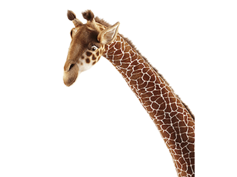  Hansa peluche geante girafe 165 cm  en tissus jacquard 6908 - Conforama B