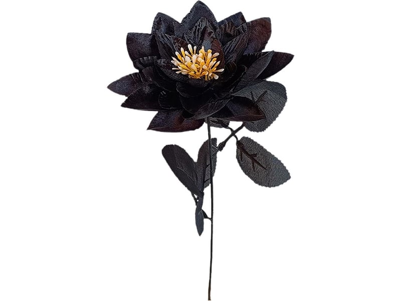  Lotus artificiel noir à tige unique pour la décoration intérieure - lotus noir  - Conforama A