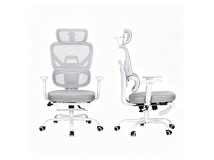 Chaise de bureau <strong>WISHDOR</strong> <strong></strong> avec assise réglable en hauteur
