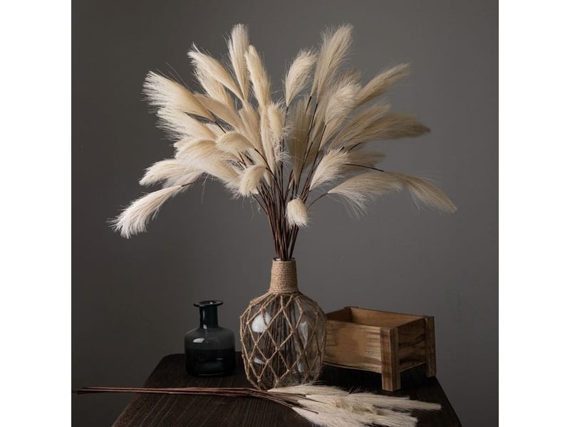  Plante artificielle - roseau pampas - hauteur 80 cm - tête fleurie 18 cm - pour décoration intérieure bureau mariage - 1 pièce  - Conforama E