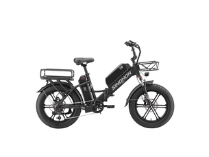 Vélo électrique de livraison sinohon delivery, double batterie longue autonomie, noir
