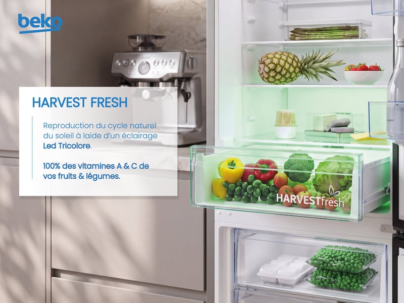 Réfrigérateur combiné (congélateur en bas) BEKO B5RCNE406HXBR - Conforama G