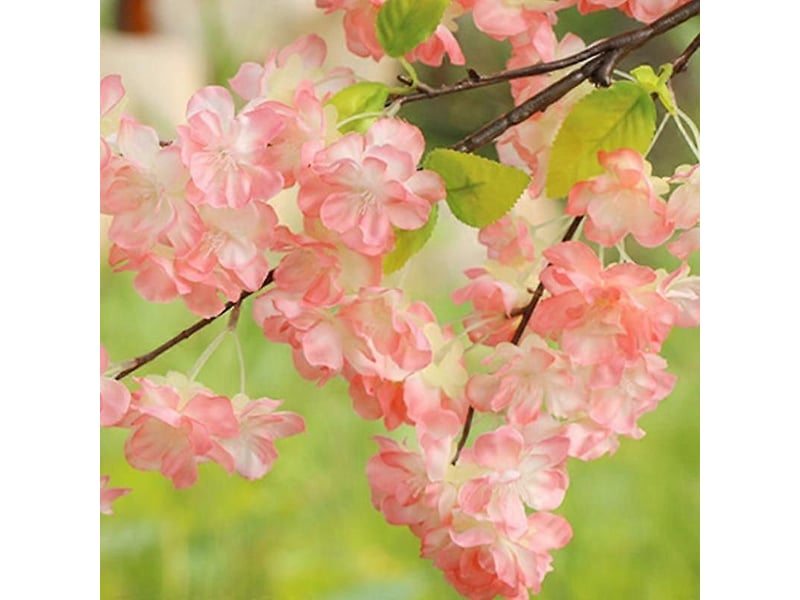  Fleur artificielle de cerisier sakura en soie à longue tigerose clair  - Conforama E