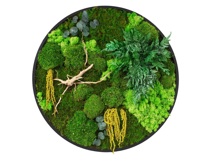 Ecd germany tableau végétal mural stabilisé, ø 60 cm, mélange de mousses avec eucalyptus, fougères et bois naturel, effet 3d, sans entretien, cadre mdf rond, décoration d'intérieur, style jungle ECD Germany GmbH - Conforama A