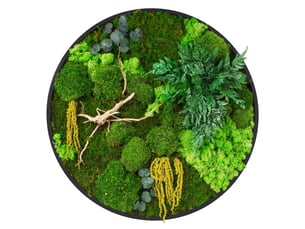 Ecd germany tableau végétal mural stabilisé, ø 60 cm, mélange de mousses avec eucalyptus, fougères et bois naturel, effet 3d, sans entretien, cadre mdf rond, décoration d'intérieur, style jungle
