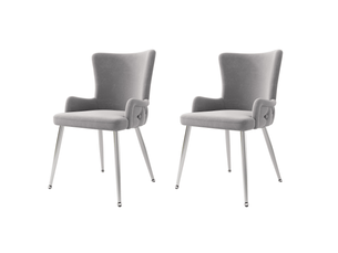Lot de 2 chaises de salle à manger, chaise grise, fauteuils de salon de luxe avec pieds en métal argenté, en velours