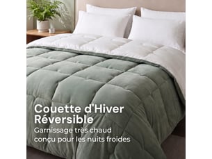 Flandria couette hiver réversible effet flanelle 600gm², chaude et ultra douce, 220x240cm, 2 personnes, sauge