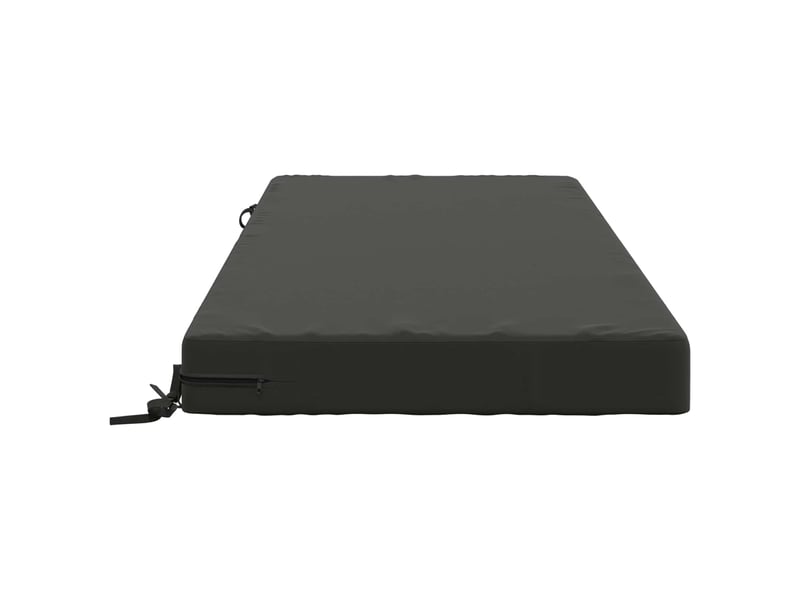  Coussin d'assise, coussin pour chaisecanapé soest 100 % polyester anthracite cf51376  - Conforama D