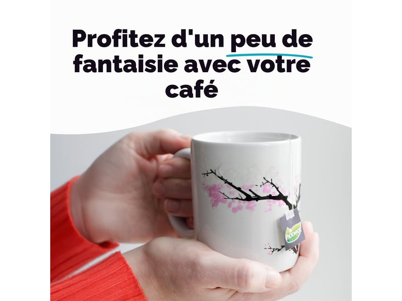  Kikkerland - tasse cu92  - Conforama D