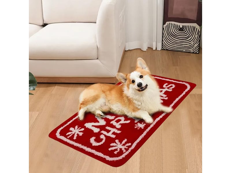  Paillasson de noel, tapis de sol de noël, tapis de noël paillassons, tapis de porte 40x60 cm, tapis maison entrée, motif de noël, noel decoration inte  - Conforama D