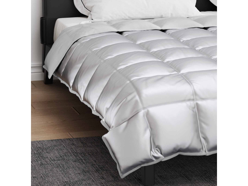  Duvet d'hiver - couette 200 x 240 cm 450 gm² argenté  - Conforama D