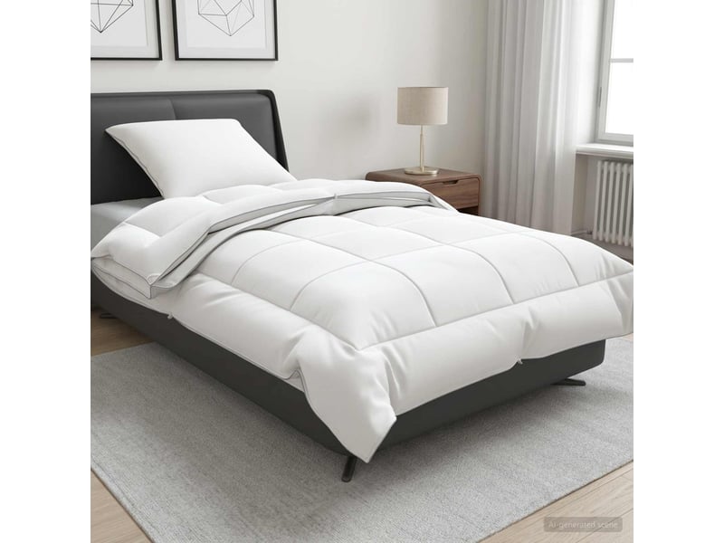 Ensemble de couette et d'oreiller 2 pcs - duvet 135x200 cm 4 saisons - Conforama B