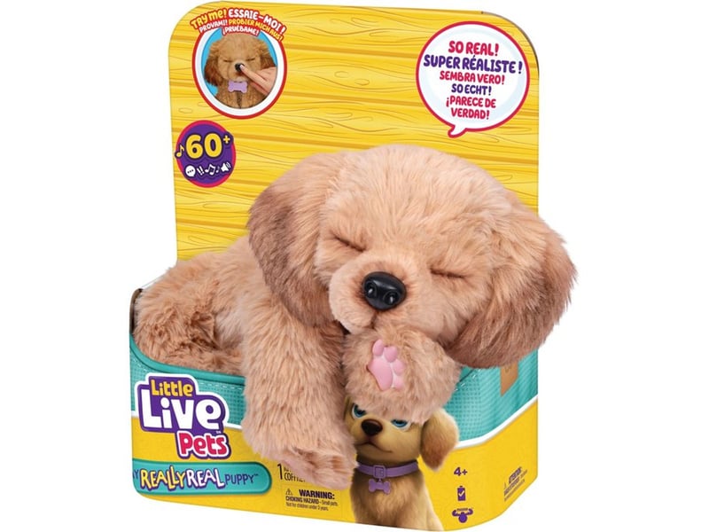  Peluche chien interactif bailey mini puppy avec sons et lumières 26805 - Conforama B