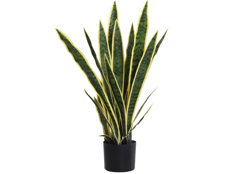  Plante artificielle sansevieria 15x15x77 cm feuilles flexibles verte  - Conforama A