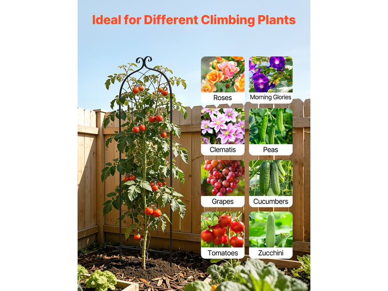 Vevor treillis de jardin support de plante grimpante métal 52,5x180 cm lot de 8  - Conforama E