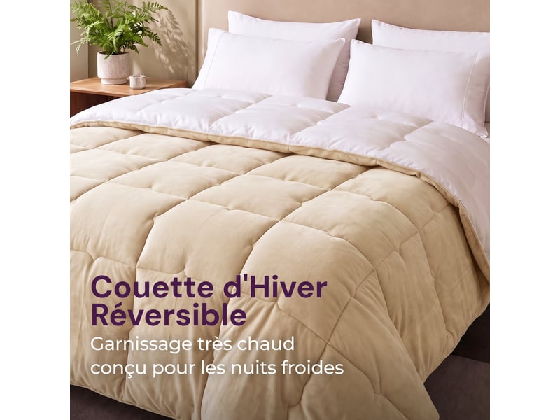  Flandria couette douce réversible polaire, chaude et moelleuse, garnissage 350gsm, 220x240cm, taupe et microfibre blanche  - Conforama B