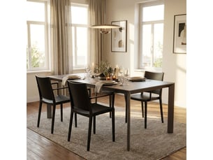 Lot de 2 chaises avec accoudoirs intérieur et extérieur vigo - noir