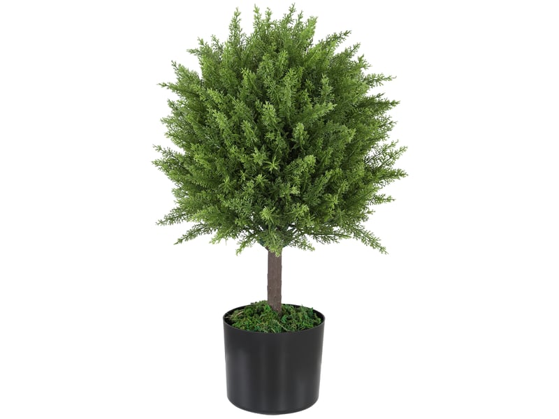  Faux cèdre avec pot inclus, pour une utilisation intérieure et extérieure, hauteur 55 cm, vert  - Conforama B