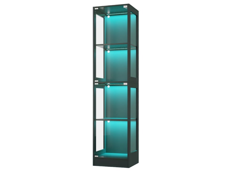  Vitrine led en verre trempé, meuble vitrine noir 4 niveaux avec éclairage connecté, armoire d'exposition pour figurines, 40x35x170cm RH-NK000203AAB - Conforama A