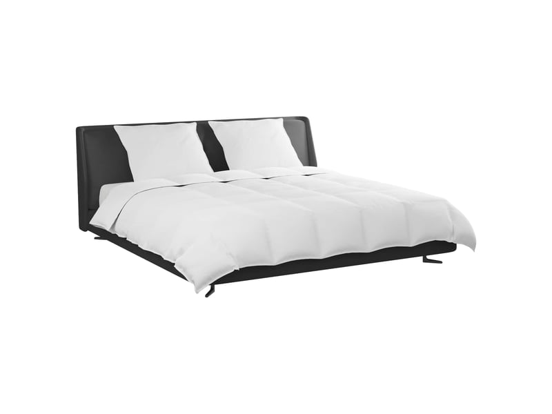  Ensemble de duvet avec oreiller 3 pcs - couette blanc plume de canard  - Conforama C