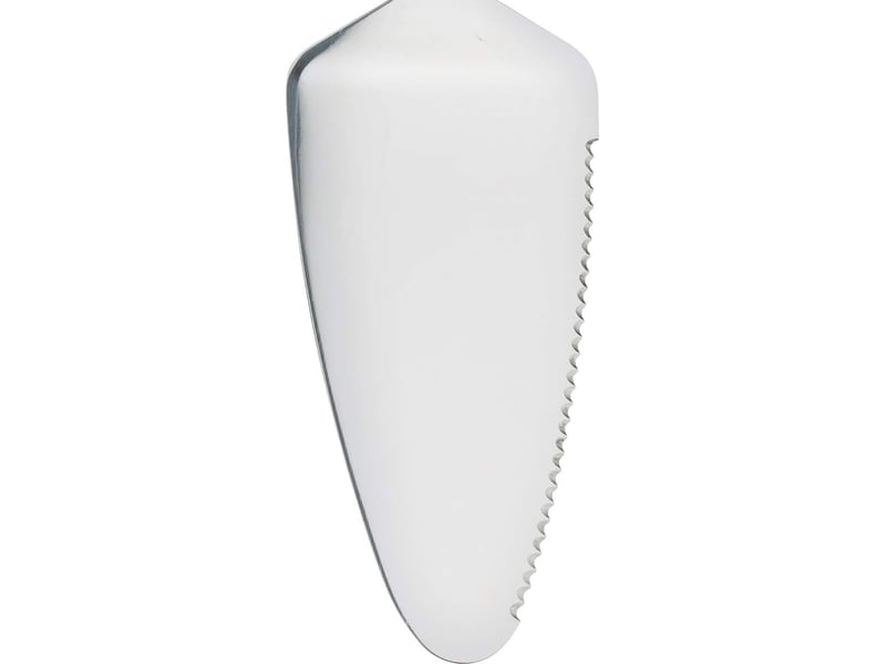  Professional pelle à tarte pelle à gâteau en acier inoxydable (26 cm)  - Conforama C