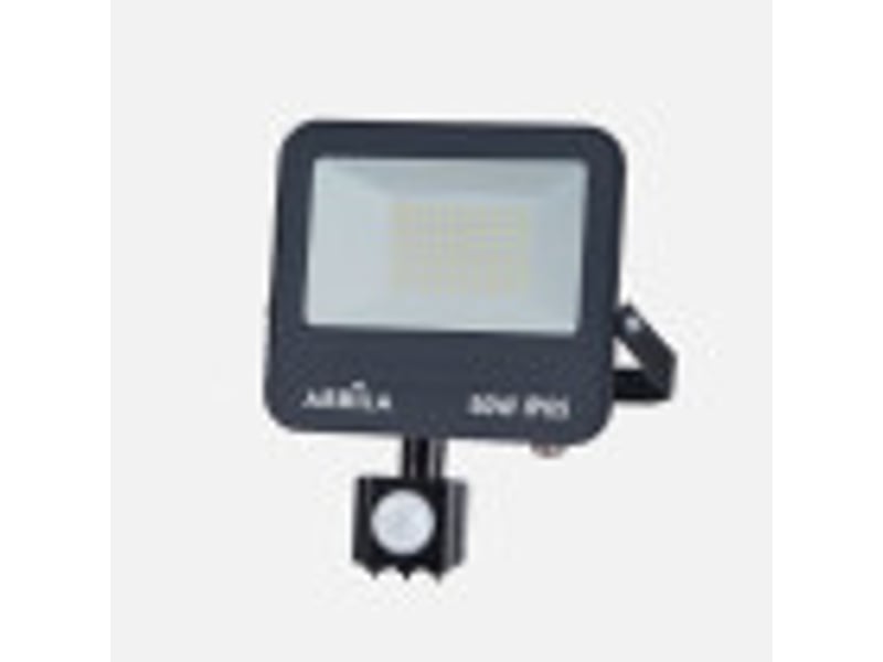  Projecteur led avec détecteur fabrilamp boiro 50 w 5000 lm 6500 k noir ip65 22 x 19 x 6 cm 262980509 - Conforama B
