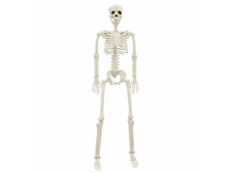 Squelette d'halloween 2 pc blanc 85 cm pvc cf61974 - Conforama E
