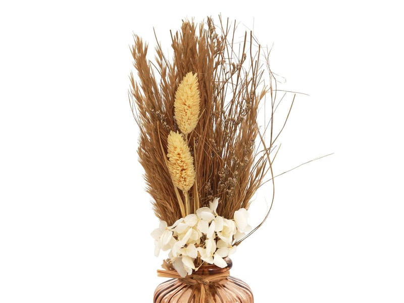  Composition fleurs séchées wisa h.26cm WISA - Conforama E