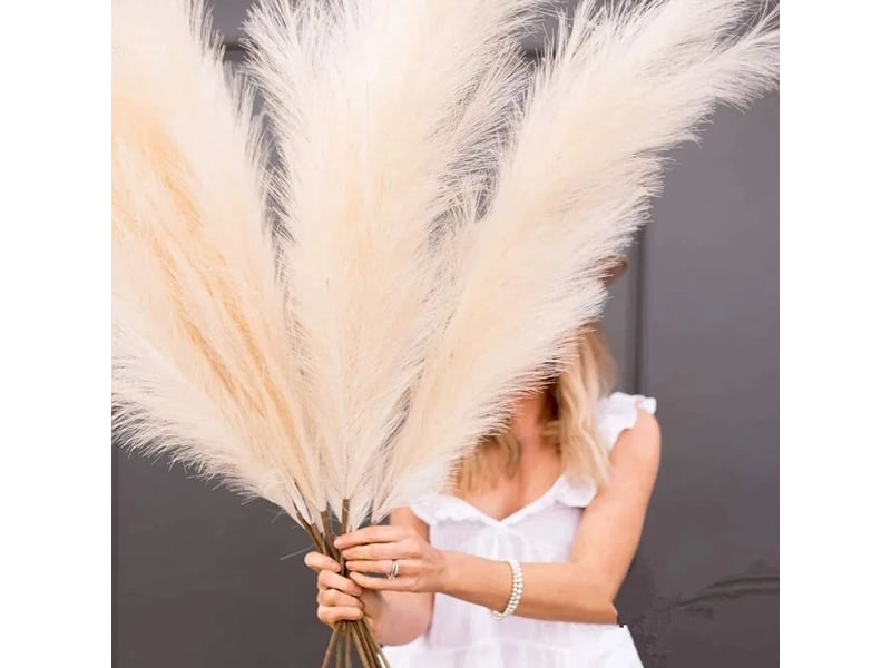  Herbe de la pampa artificielle - 100 cm - déco intérieure et événements - lot de 8  - Conforama A